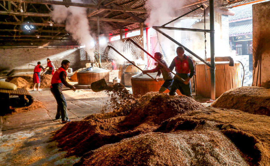 组图初冬时节酿酒忙