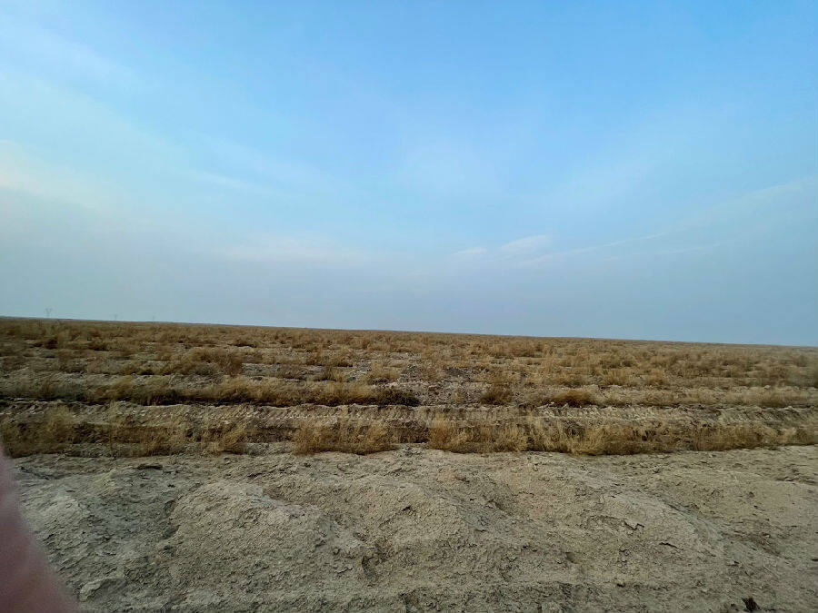 图为农发行新疆吐鲁番市分行贷款支持鄯善县国有农用地流转项目建设。（马瑶 摄） 