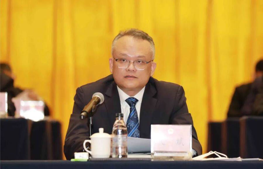 图为临高县委书记文斌在会上讲话(许国慧  摄)