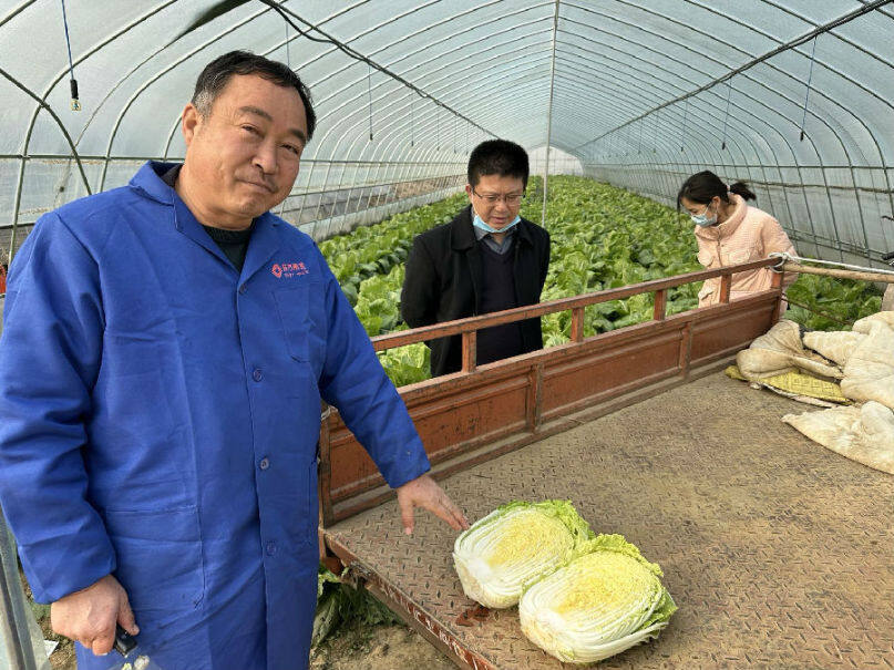 图为安陆森农种养合作社负责人李炎东（左一）介绍蔬菜种植情况（余惠玲 摄）