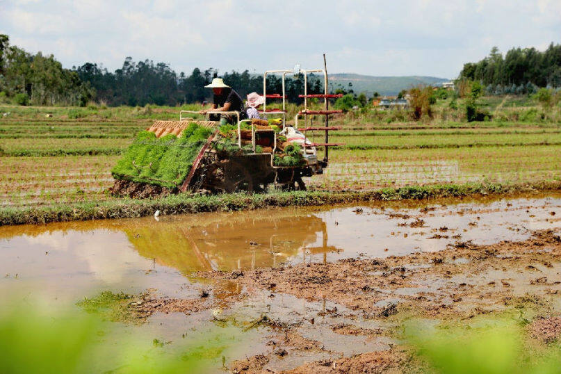 满了"米袋子" 鼓了"钱袋子"_县域经济网