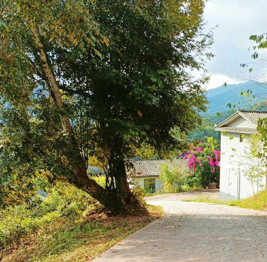 图为阳光下的田房村一片宁静祥和(庾仁庆 摄)