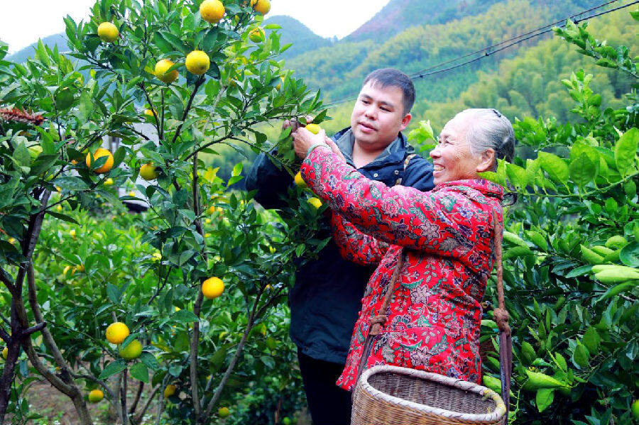 图为蒙昌明（左）正在与村民查看果树生长情况（唐慧芳 摄）