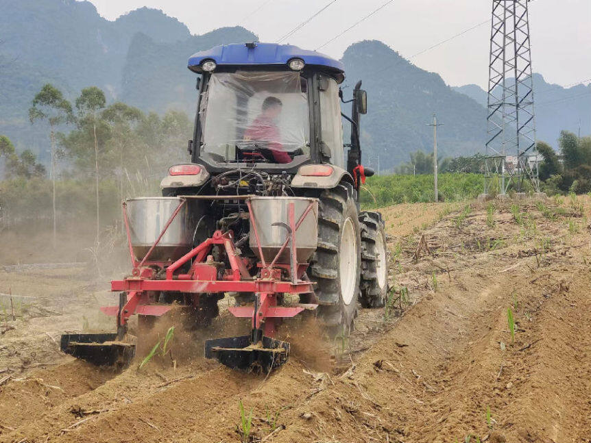 图为农机手正在操作培土,施肥,杀虫一次完成的培土机(韦莲香 摄)