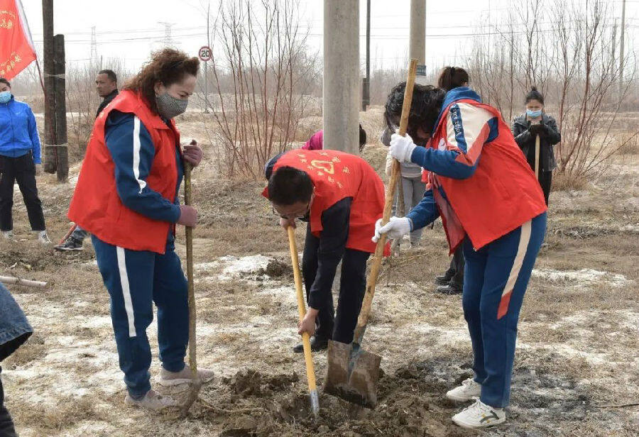 图为洛浦县洛浦镇组织开展植树造林活动(施瑞 摄)