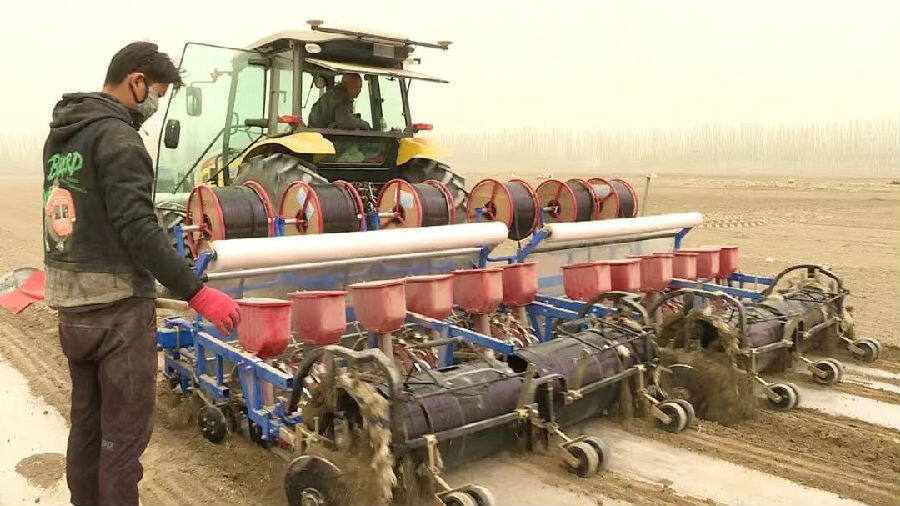 新疆阿瓦提县135万亩棉花播种工作有序展开