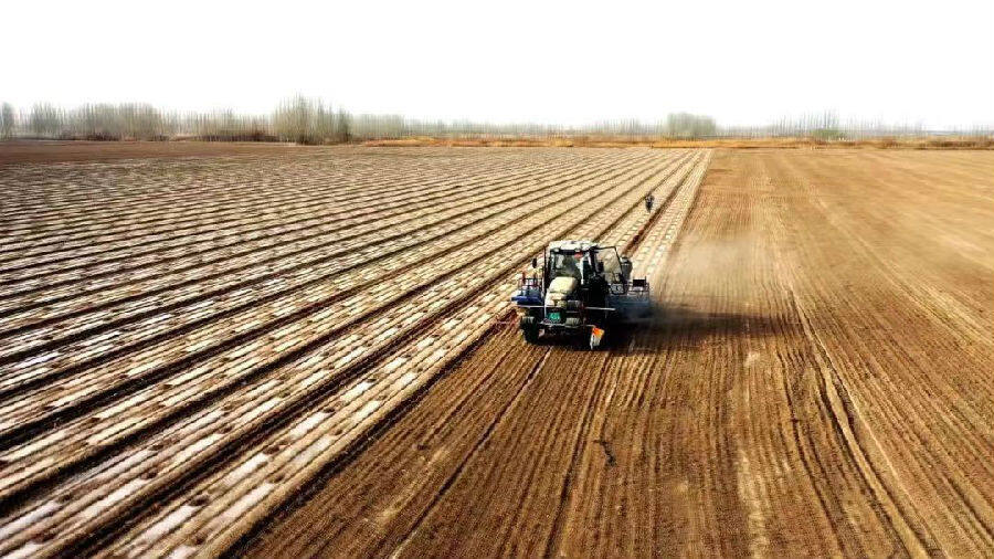 新疆阿瓦提县135万亩棉花播种工作有序展开