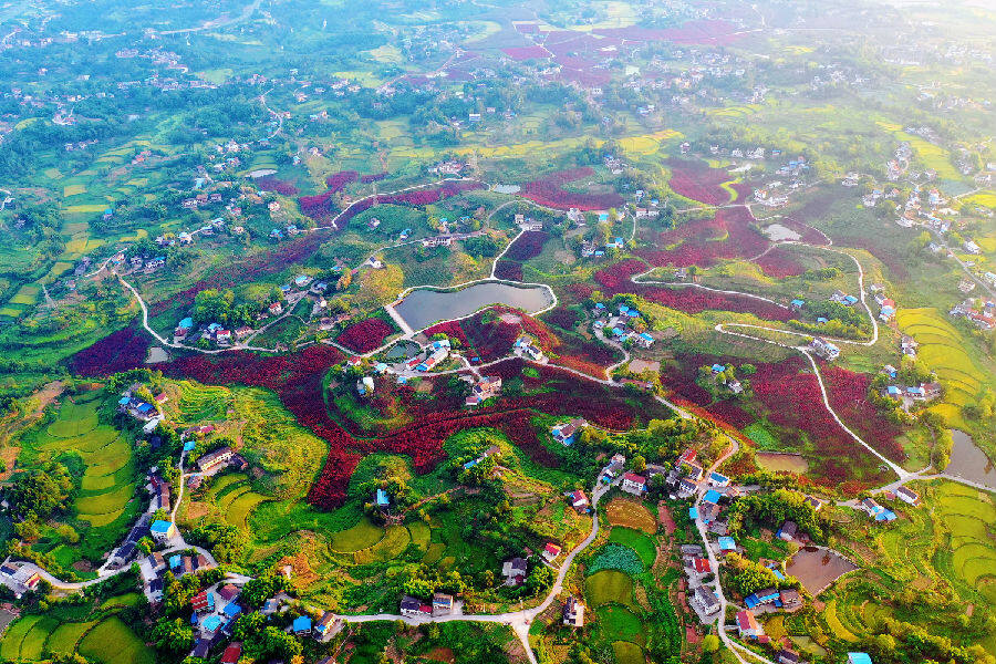 "红岩故里,雄山华蓥"迎来旅游业高质量发展新动能_县域经济网