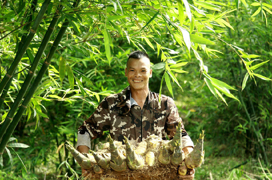 水果竹笋获丰收特色产业促振兴