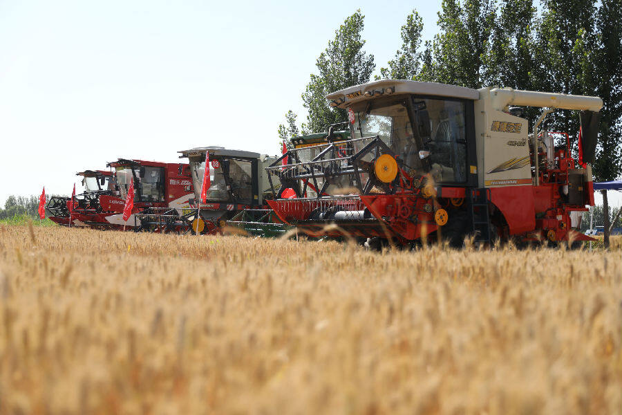 准备同台竞技的新型联合收割机一字排开 (贾鹏 摄)