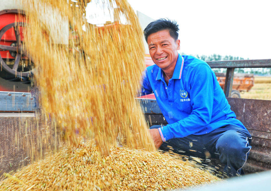 农业社会化服务助力稳粮增产