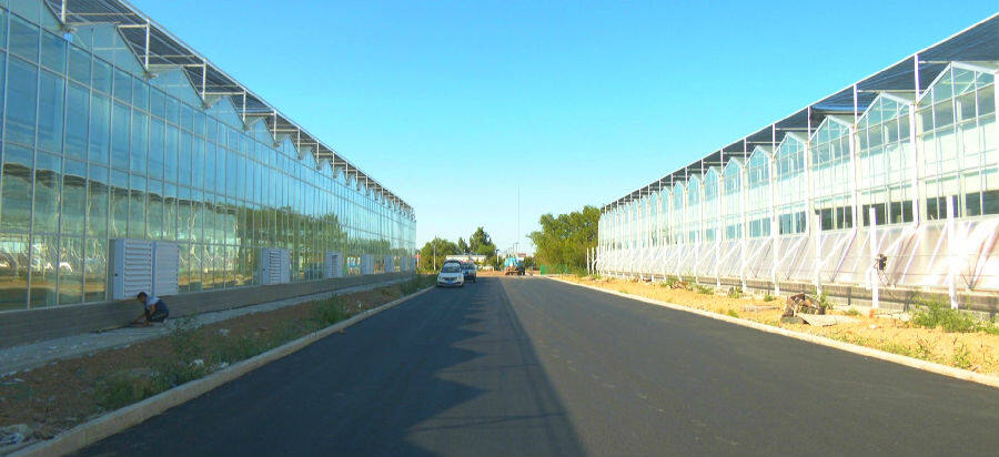 图为新建成2座智能温室大棚外景 (成石麟 摄)