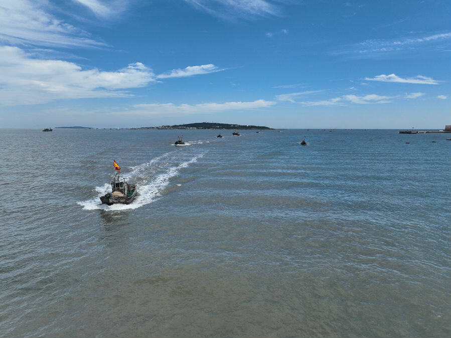 山东省青岛市即墨区600多艘渔船相继出海归来,9月1日,黄渤海伏季休渔