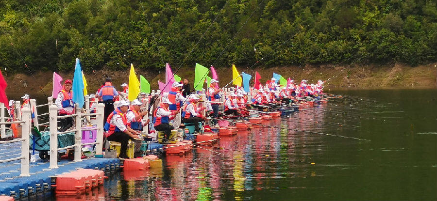 四川青川白龙湖钓鱼比赛开赛川陕甘18个县区60支队伍同场竞技