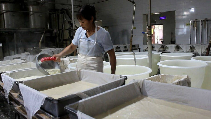 负责人骆绍禺高兴地说:"我们每日加工500公斤大豆,主要产品是豆腐皮