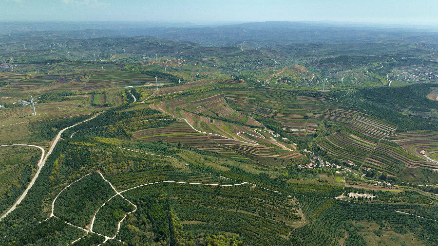 鹿鹿山上林海如潮