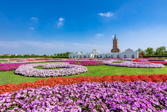 丰城爱情花卉小镇 (肖云梦 摄)