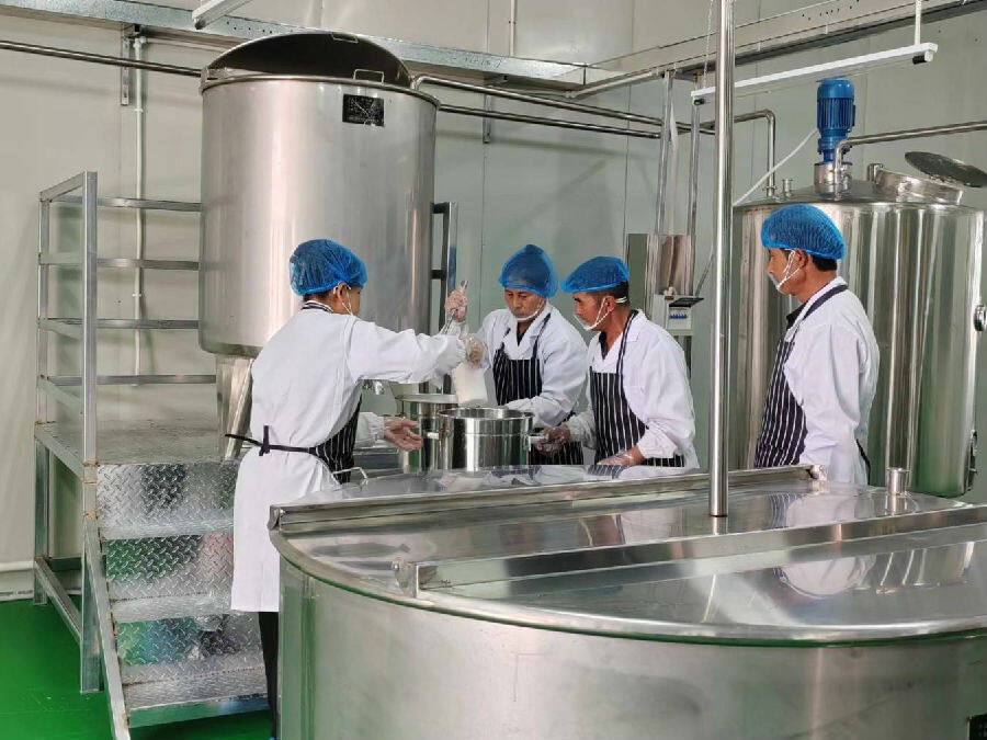 酸奶厂酿出幸福生活滋味