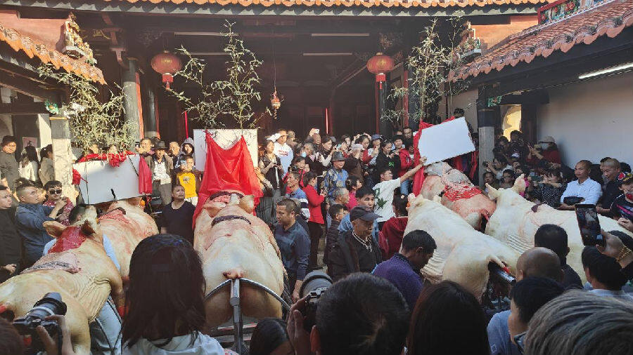 游人如织文旅市场持续升温