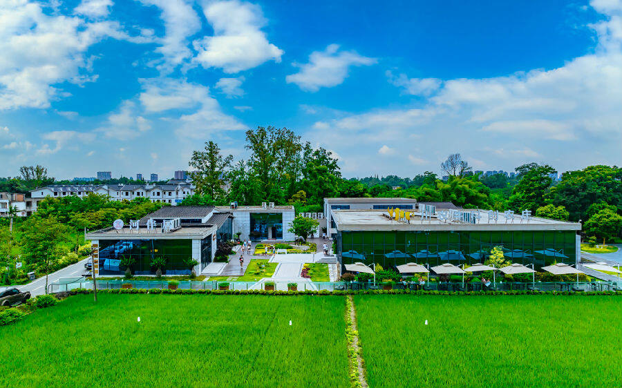 成都温江区乡村振兴工作交出亮丽答卷