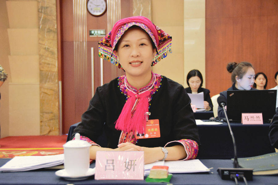 两会访谈全国人大代表海南省保亭黎族苗族自治县副县长