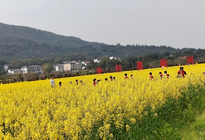 3月22日,赤山镇湾里村举办的"花田火锅"活动吸引游客从四面八方赶来