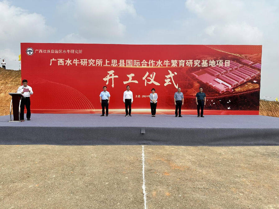 广西上思县将建成国际奶水牛繁育研究基地