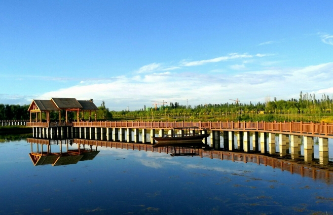 图为阿克苏多浪河国家湿地公园，水草丰茂、鱼鸟成群 （张勇 摄）