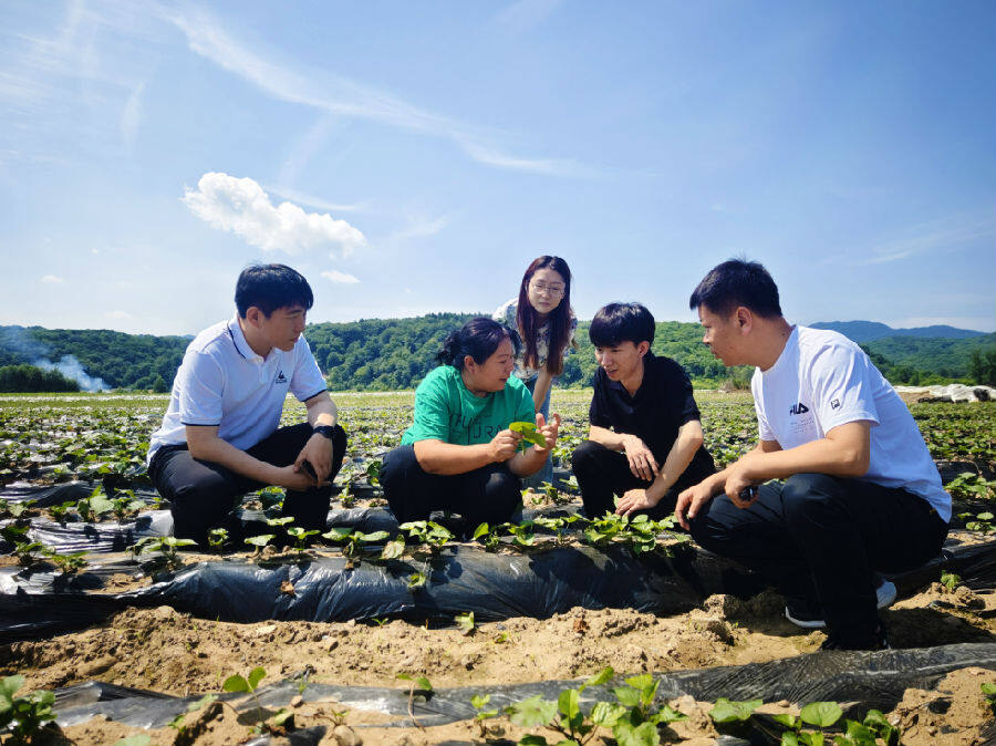 市委组织部负责农村党建同志深入村党组织开展调研（李广友 摄）