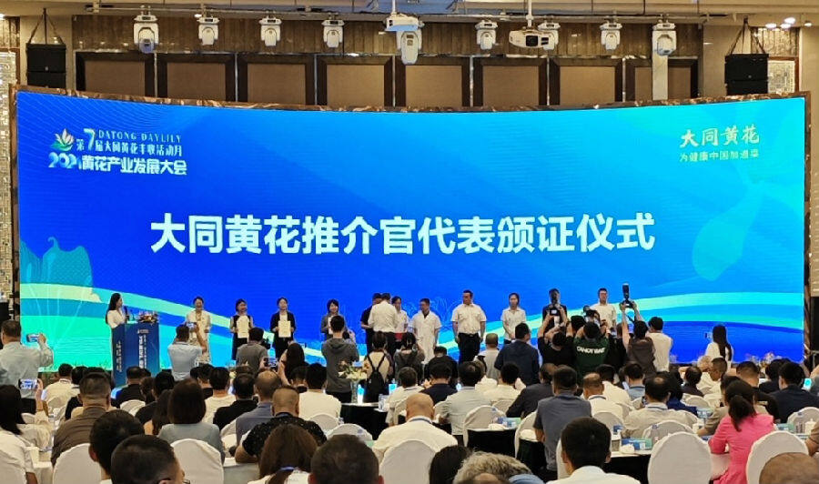 大同黄花推介官代表颁证仪式现场（马静波 摄）
