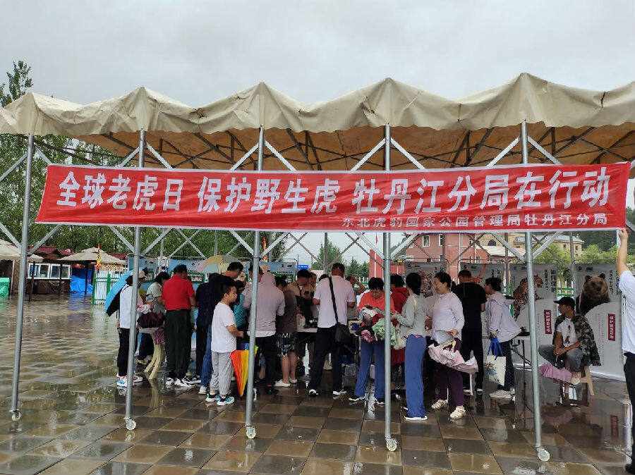 活动现场（高良波 摄）