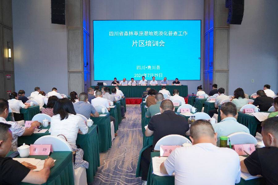图为会议现场（曹琳 摄）
