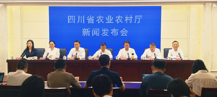 图为新闻发布会现场（戚原 摄）