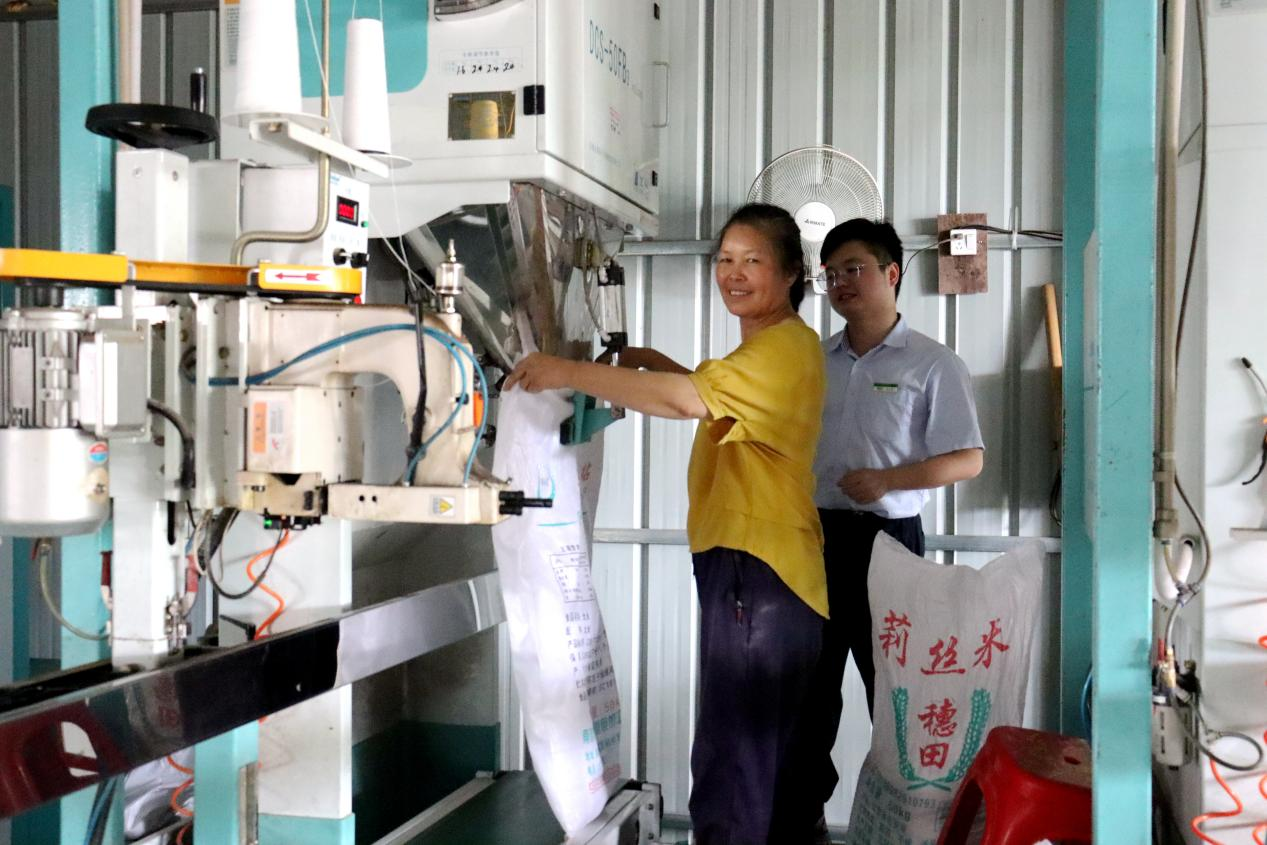 今年早稻丰收后，在邮储银行韶关市分行的资金支持下，南雄市冠奕通粮食加工有限公司将收购来的稻谷加工成大米并打包装箱销往全国各地 （郭文玉 摄）
