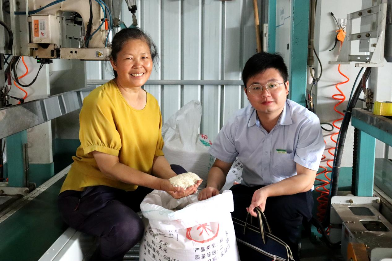 徐石凤自豪地向邮储银行韶关市分行工作人员展示其公司生产的高品质、颗粒饱满的大米 （郭文玉 摄）