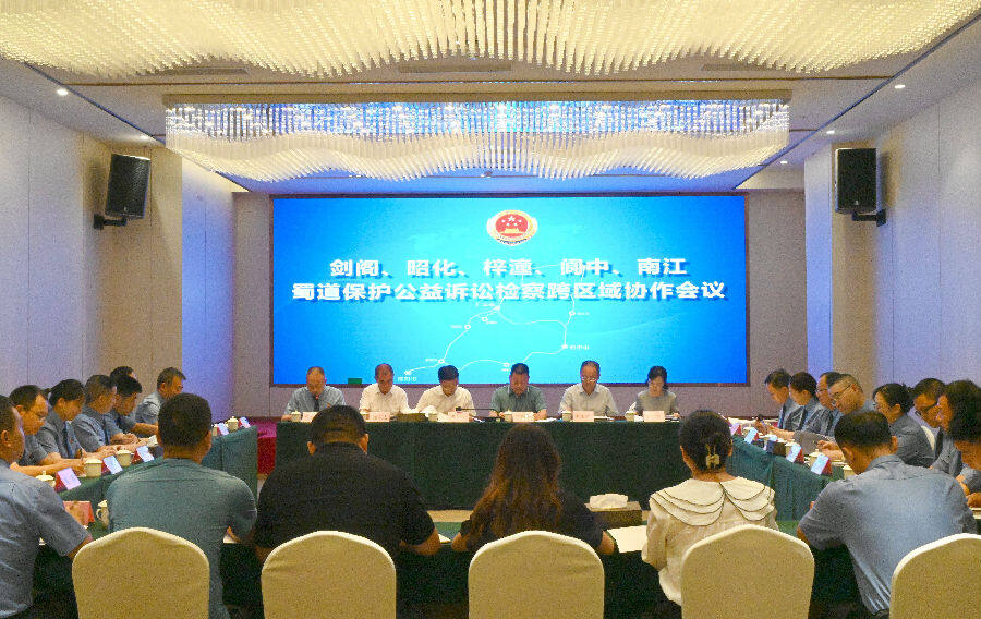 图为会议现场（赵莉 摄）