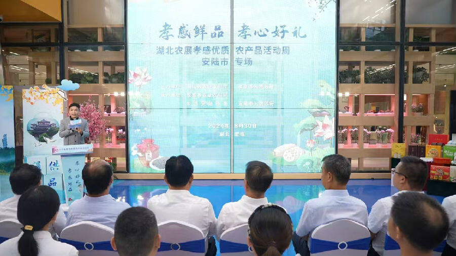推介活动现场 （李林 摄）