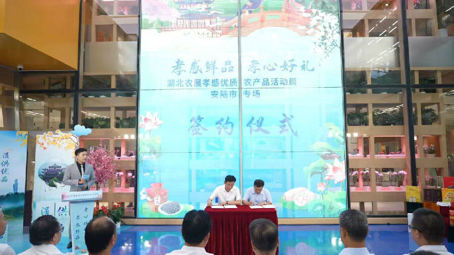 签约仪式现场 （李林 摄）