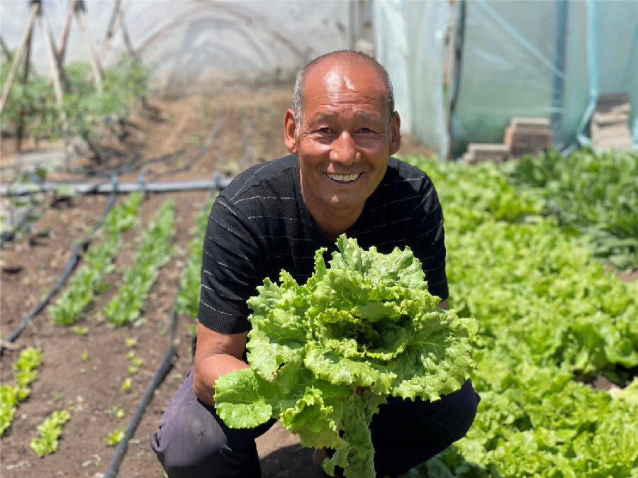 三岔口乡庭院经济推出“粗粮+蔬菜”绿色口粮套餐（冀梦 摄）