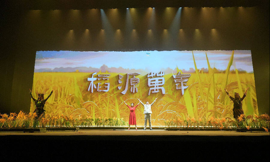 稻源万年演出现场（李天鹏 摄）