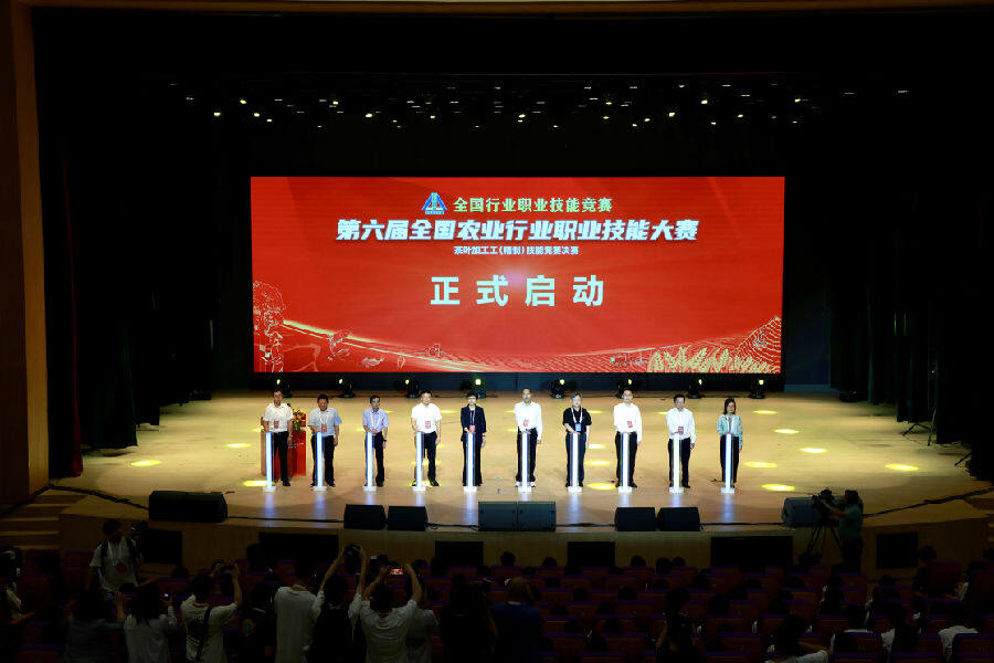 决赛启动现场（戚原 摄）
