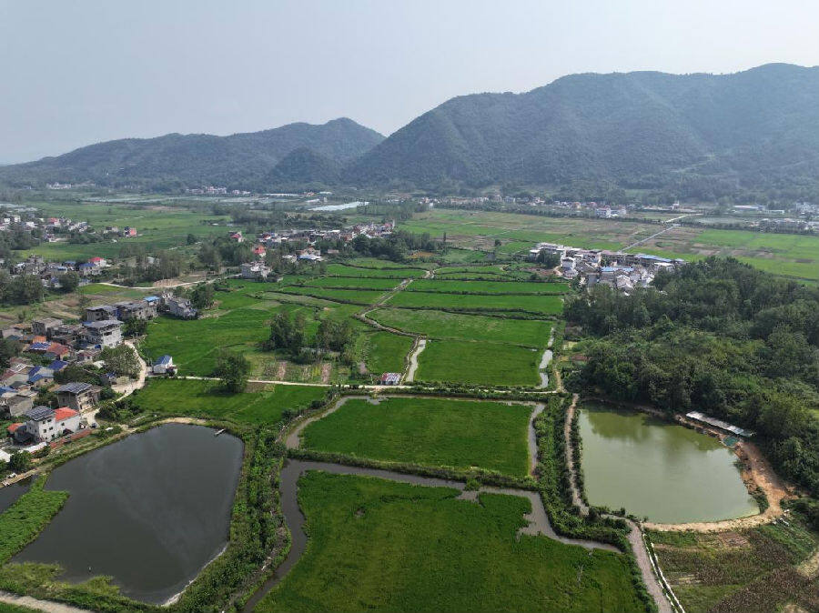 长乐港灌区蓄水池塘 （陈隆基 摄）