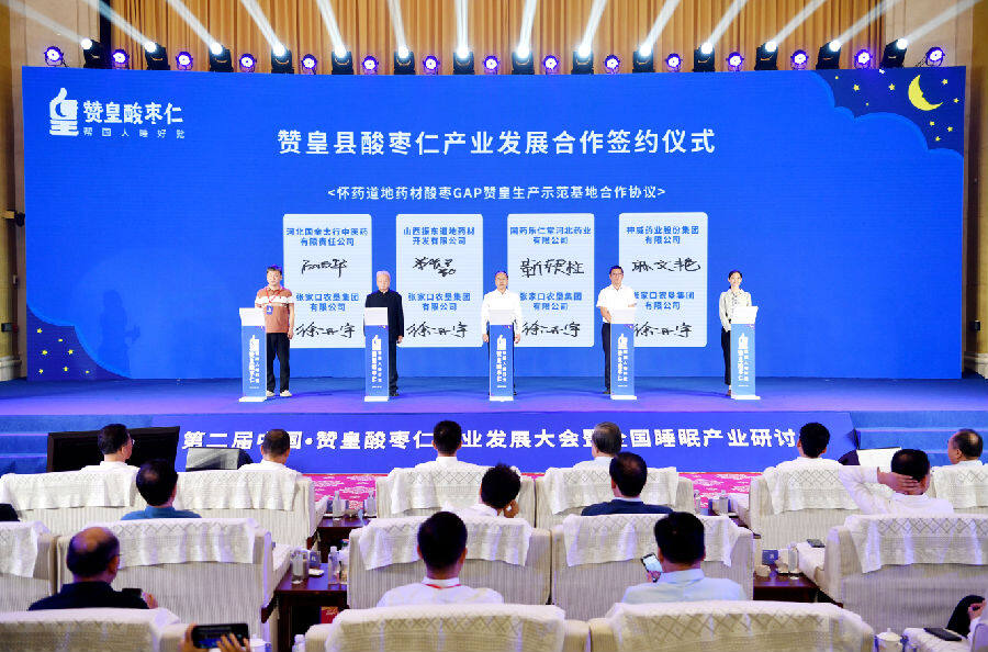 赞皇县酸枣仁产业发展合作签约仪式（张晓峰 摄）