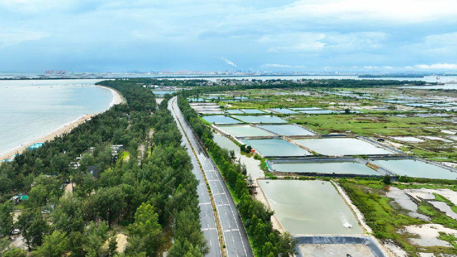 国道228线滨海公路钦州市钦南区犀丽湾路段（叶其林 摄）