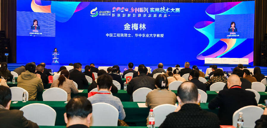 中国工程院院士、华中农业大学教授金梅林现场点评（谭璐 摄）
