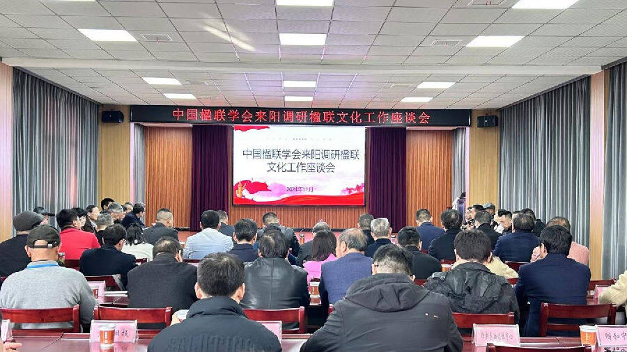 座谈会现场（倪婷婷 摄）