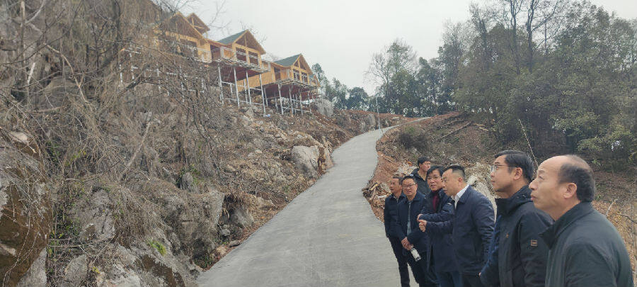 王英镇镇干部参观重点项目现场（王祥 摄）