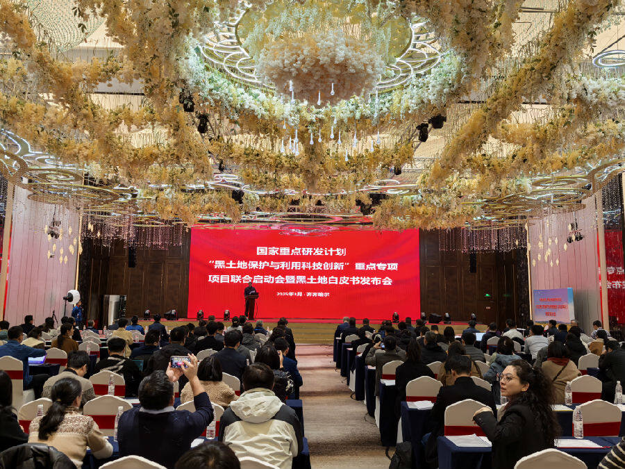 发布会现场（刘尧 摄）
