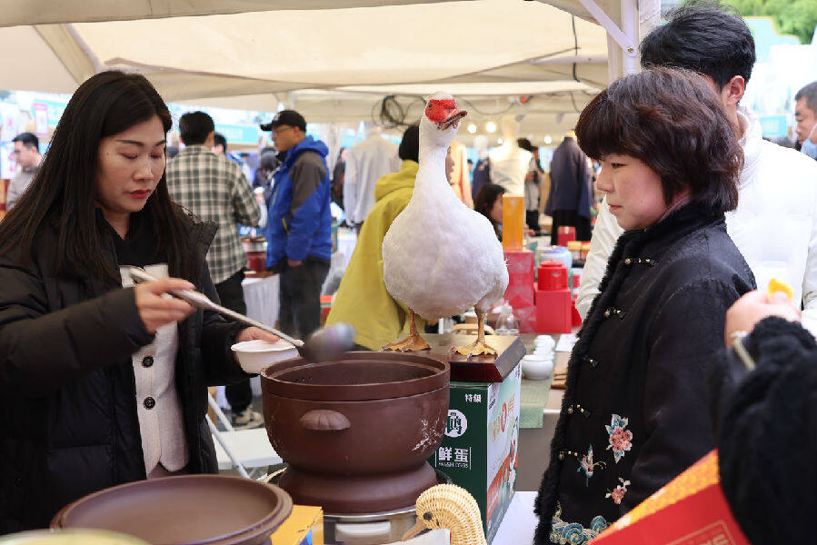 市民品尝阳新屯鸟汤（冯媛媛 摄）