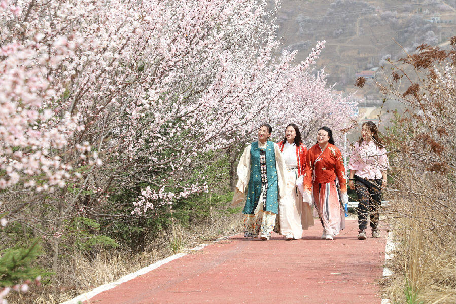 游人赏花（扈广博 摄）
